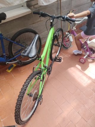 Bicicleta DENBIKE verde