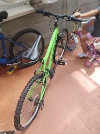 Bicicleta DENBIKE verde
