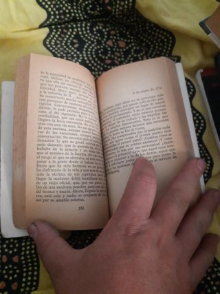 Libro: Las desventuras del joven Werther - J. W. G