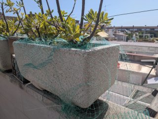 Lote 6 jardineras piedra