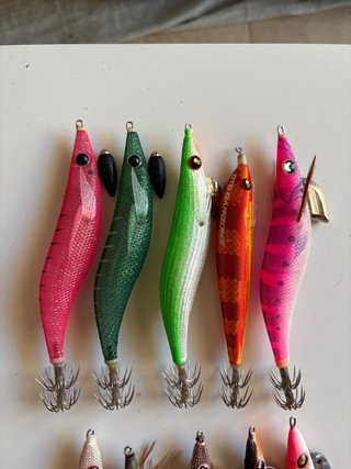 Pajaritas para calamar