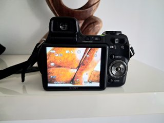 Sony Cyber-Shot DSC-H9