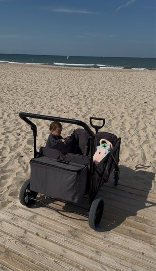 Cochecito Elvent Wagon Pro 4 plazas