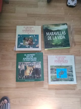 Vinilos Sonidos Naturaleza y Animales