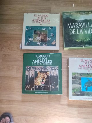 Vinilos Sonidos Naturaleza y Animales
