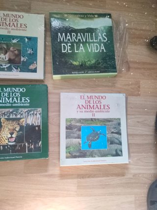 Vinilos Sonidos Naturaleza y Animales