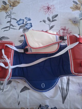 Protecciones Taekwondo Dae Do Gen2