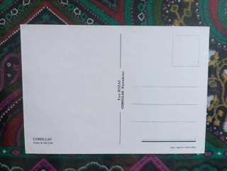 Postal Comillas Prado de San José