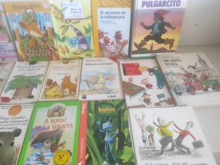 Lote libros infantiles