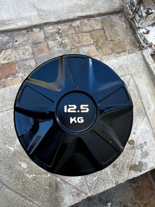 Mancuerna 12.5 kg