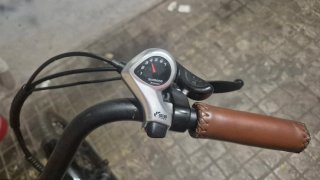 Bicicleta Eléctrica Youin Los Ángeles
