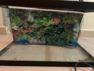Acuario para peces o anfibios