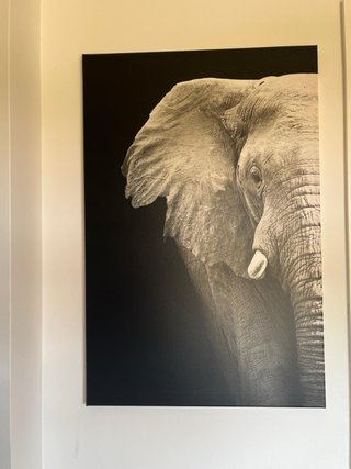 Cuadro Lienzo Elefante 60x90