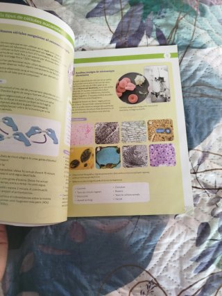 Libro de biología y geología 4 ESO