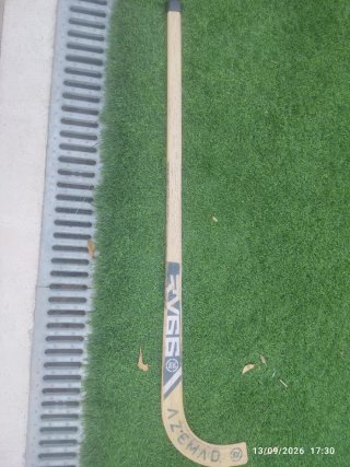 Palo de Hockey Azemad RV66