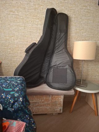Guitarra Admira Luna