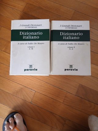 Dizionario italiano 2 volumi