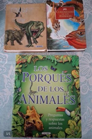 Lote Libros Infantiles - Animales у Dinosaurios