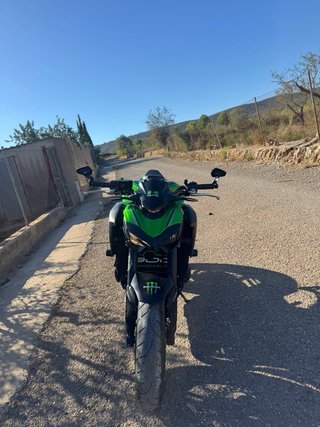 Kawasaki Z900 Naked Verde/Negra