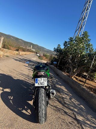 Kawasaki Z900 Naked Verde/Negra