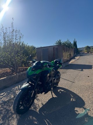 Kawasaki Z900 Naked Verde/Negra