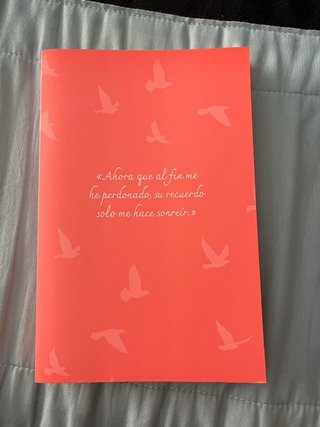 No te olvidaré (Reminders of Him)