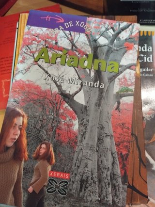 vendo dicionario ,enciclopedia y varias novelas et