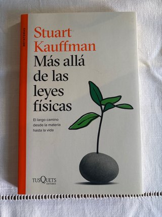Más allá de las leyes físicas