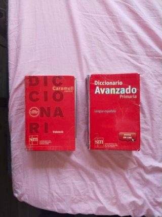 Diccionario Avanzado Primaria. Lengua española