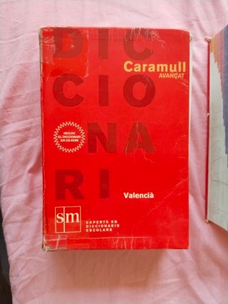 Diccionario Avanzado Primaria. Lengua española