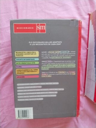 Diccionario Avanzado Primaria. Lengua española