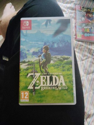 The Legend of Zelda: Breath of the Wild Nintendo S