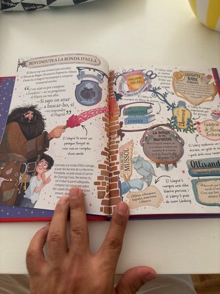 Harry Potter (Pocket Potters 1)
