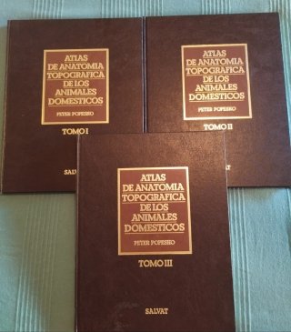 Atlas de Anatomia Topografica de Los Animales D...
