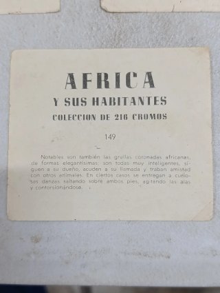 Cromo África y sus habitantes Lote 3