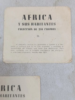 Cromo África y sus habitantes Lote 3