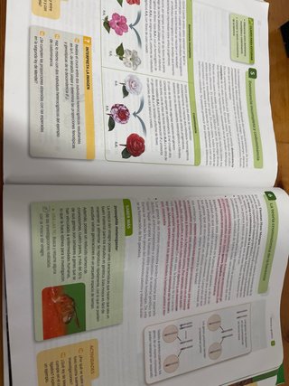 Biología y Geología 4 ESO 4 : Proyecto Saber Hacer
