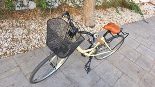 Bicicleta Paseo Cesta Beige