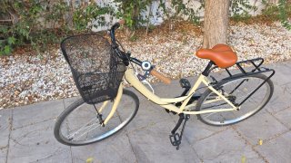 Bicicleta Paseo Cesta Beige