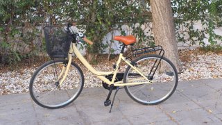 Bicicleta Paseo Cesta Beige