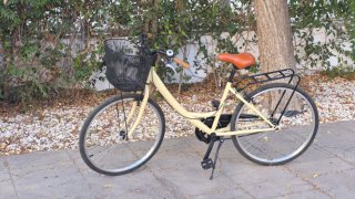 Bicicleta Paseo Cesta Beige