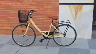 Bicicleta Paseo Cesta Beige