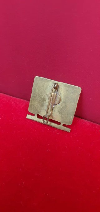 Lote Insignias OJE