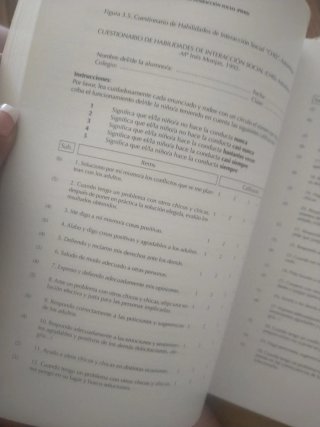 PEHIS programa de enseñanza habilidades interacció