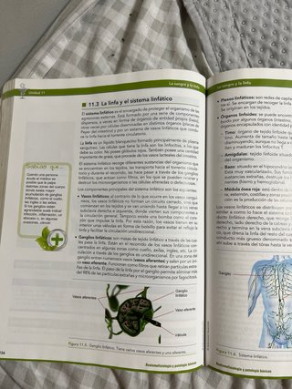 Anatomofisiología y patología básicas