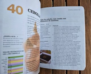 Libro: Los 100 alimentos más sanos.
