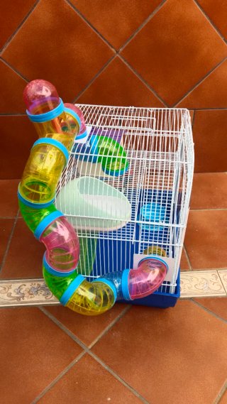 Jaula Grande para Hámster con Tubos y Juegos.