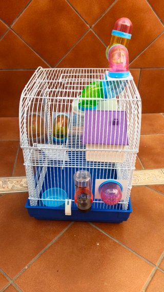 Jaula Grande para Hámster con Tubos y Juegos.