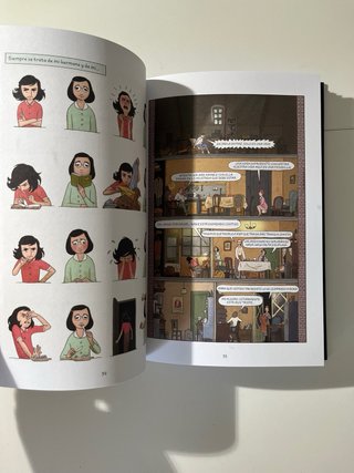 El diario de Anne Frank (novela gráfica)