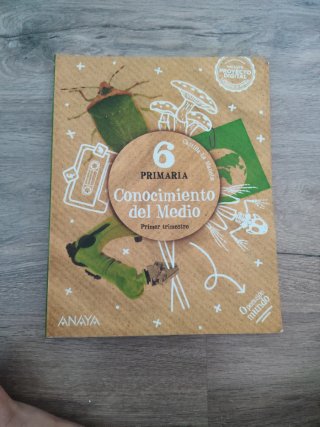 Libros de sexto de primaria
